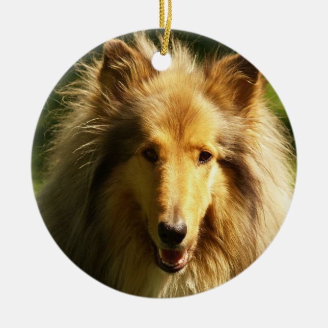 Collie Dog Breed Ornament (Front)