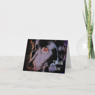 Collie Dog Carte de remerciements d'art à la front