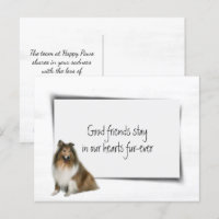 Collie Dog Pet Sympathy Loss