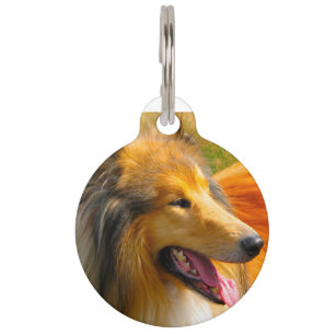 Collie Dog. Pet Tag