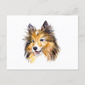 Collie Dog Portrait Watercolor Postcard