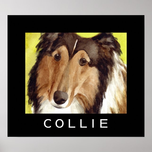 Collie Dog Posters (Front)