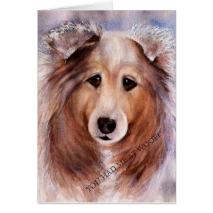 COLLIE D'OR AMICALE
