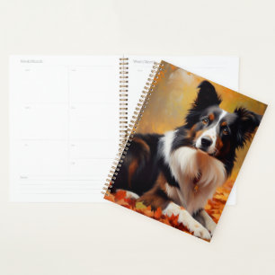 Collie frontalier à l'automne Feuilles automne Ins