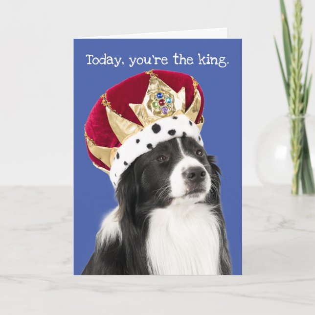 Collie frontière drôle avec carte de Fête des père (Devant)