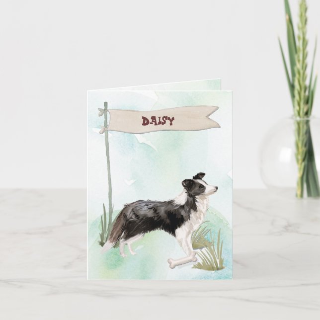 Collie Frontière Félicitations pour le nouveau chi (Devant)