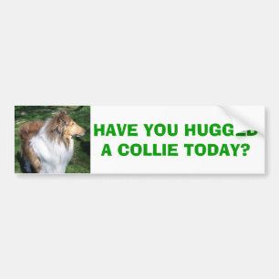 COLLIE, HAVE YOU HUGGED A COLLIE TODAY? BUMPER STICKER