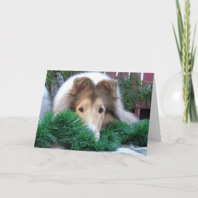 Collie Holiday Card (Front)
