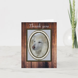 Collie/Husky Photo & Wood Thank You Blank Card