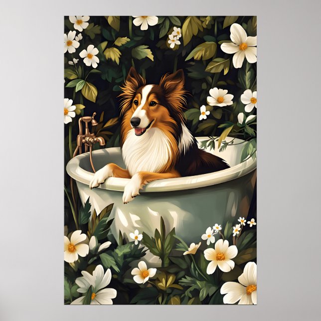 Collie In Bathtub Poster, Funny Dog Poster, Collie Poster (Front)