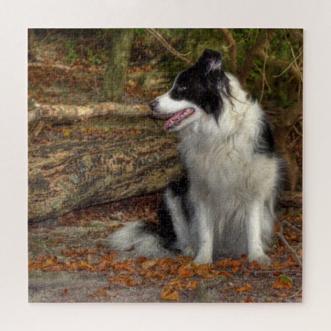 Collie in the Forest 676 Piece Jigsaw Puzzle (Horizontal)