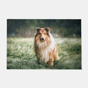Collie in the Rough Grassland Doormat
