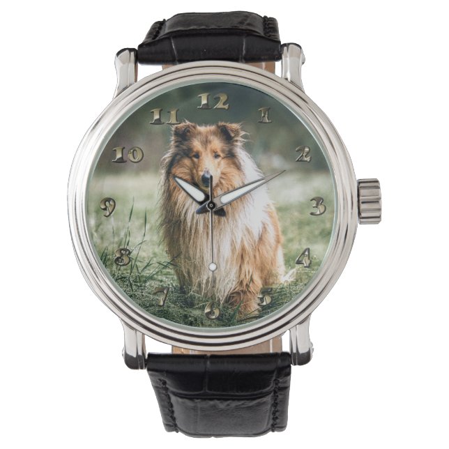 Collie in the Rough Grassland Watch (Front)