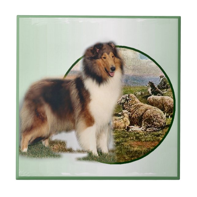 Collie Keeper of the Sheep Tile (Front)