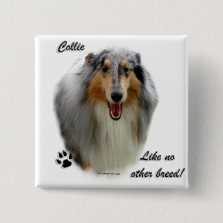 Collie Like No Other Breed 2 Inch Square Button