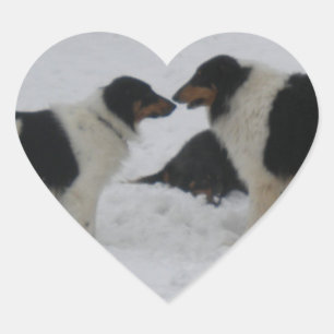 Collie Love Heart Sticker