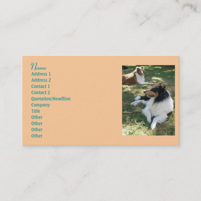 Collie Lovers Carte de visite 2 (Devant)
