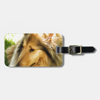 Collie Luggage Tag