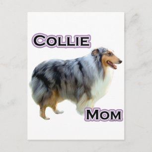 Collie Mom 4 Postcard