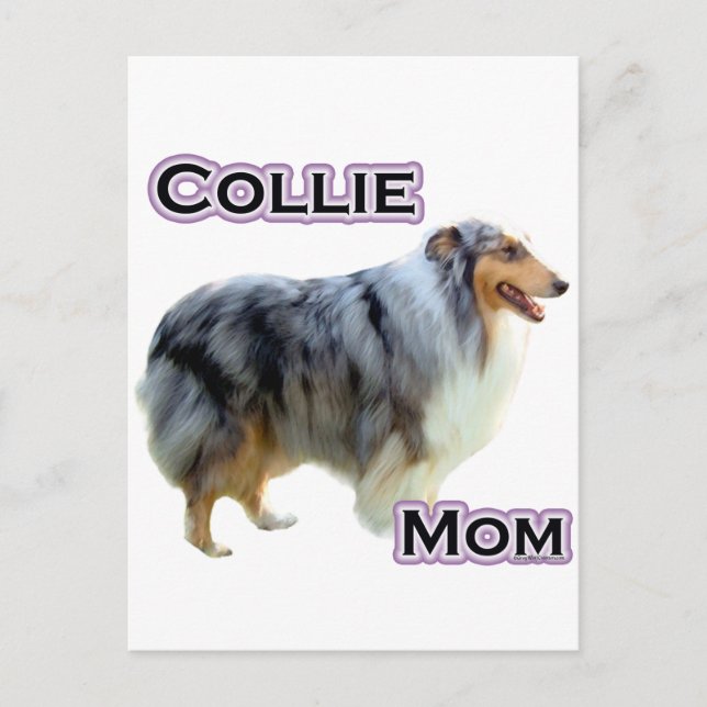 Collie Mom 4 Postcard (Front)