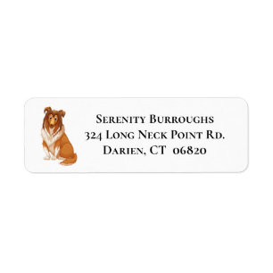 Collie Mom Puppy Dog Dad Fur Mama Lassie Rescue