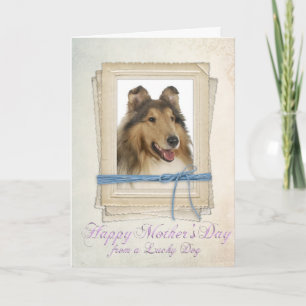 Collie Mother's Day Card