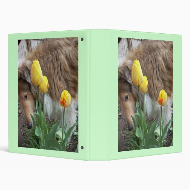 Collie N Tulips Binder (Background)