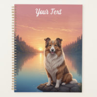 Collie par le lac