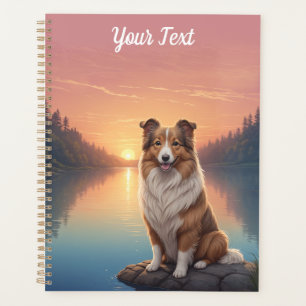 Collie par le lac