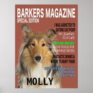 Collie Parody Magazine Cover  Poster