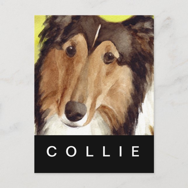 Collie Postcard (Front)