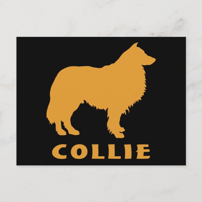 Collie Postcard (Front)