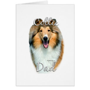 Collie (rough) Dad 2