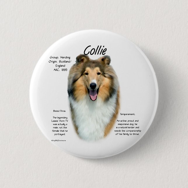 Collie (sable rough) History Design 2 Inch Round Button (Front)