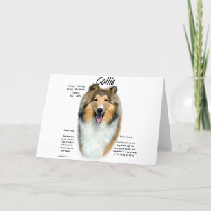 Collie (sable rough) History Design Holiday Card