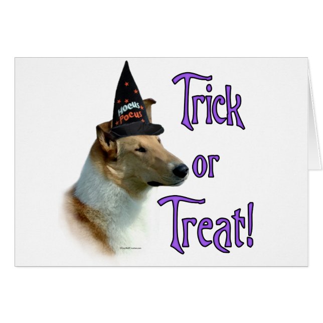 Collie (sable, smooth) Trick (Front Horizontal)