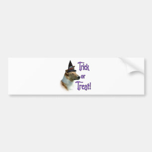 Collie (sable, smooth) Trick Bumper Sticker
