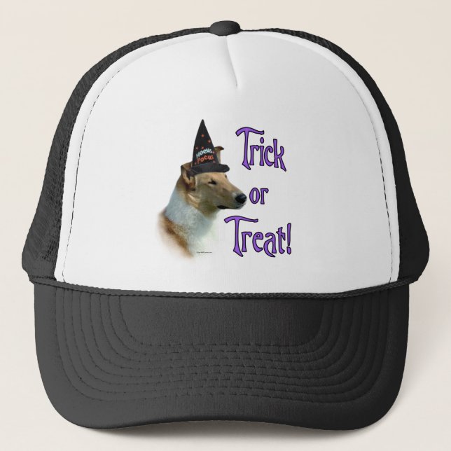 Collie (sable, smooth) Trick Trucker Hat (Front)