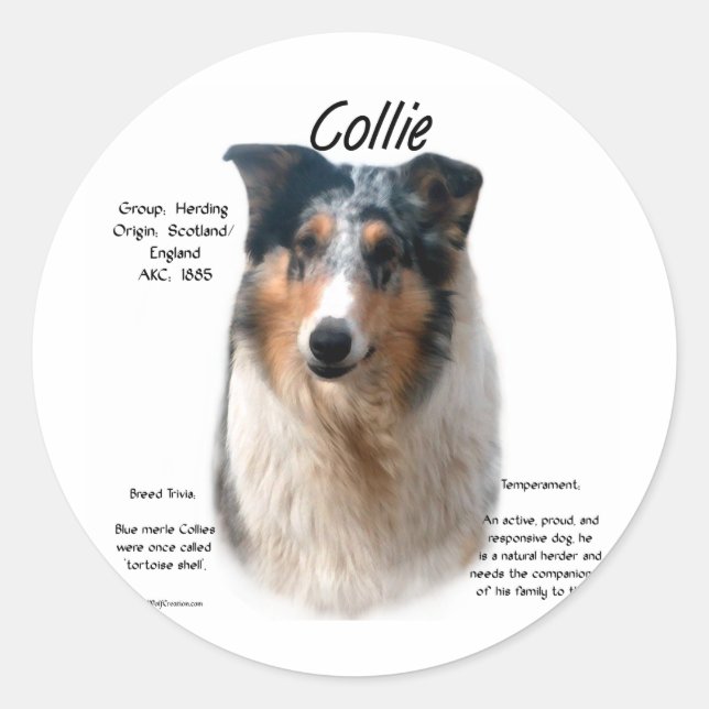 Collie (smooth merle) History Design Classic Round Sticker (Front)