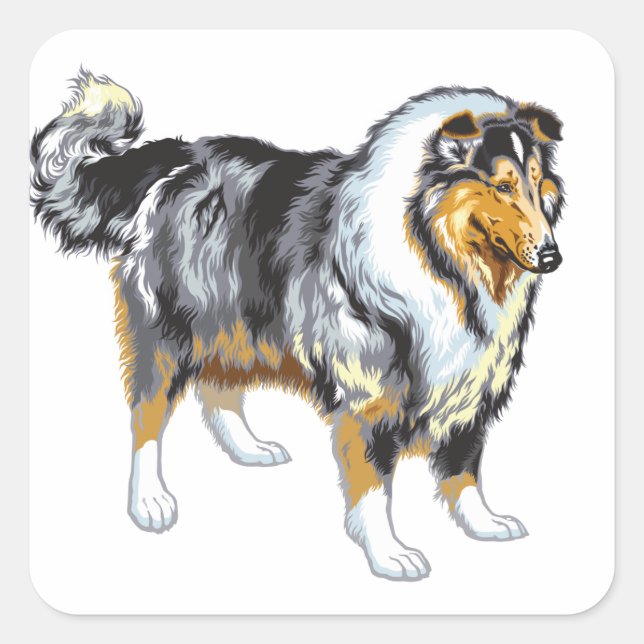 collie square sticker (Front)