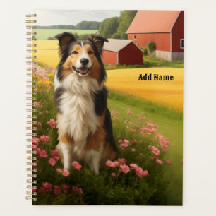 Collie standard dans une ferme