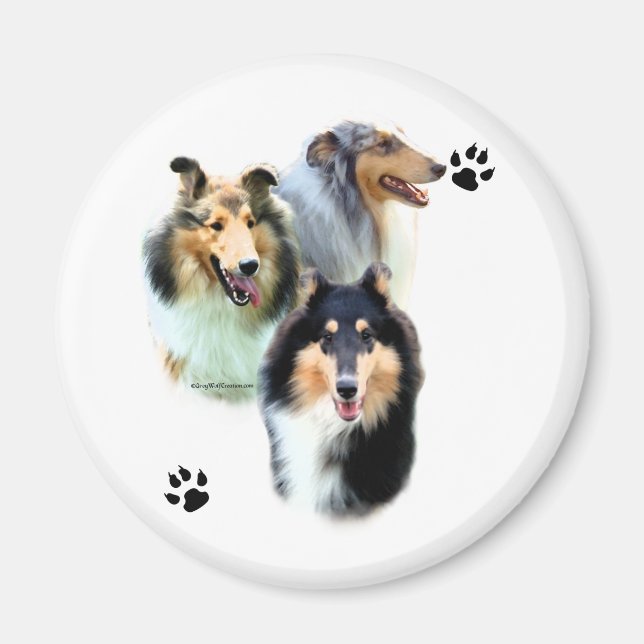 Collie Trio - Magnet (Devant)