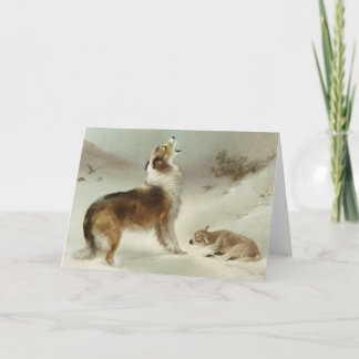 Collie und Schaf Card