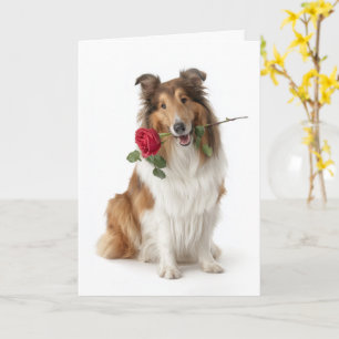 Collie Valentine Card