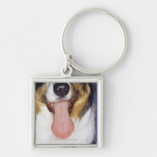 Collie wagging tongue keychain