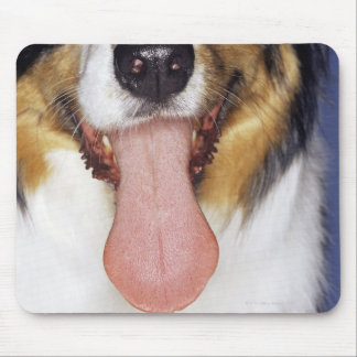 Collie wagging tongue mouse pad