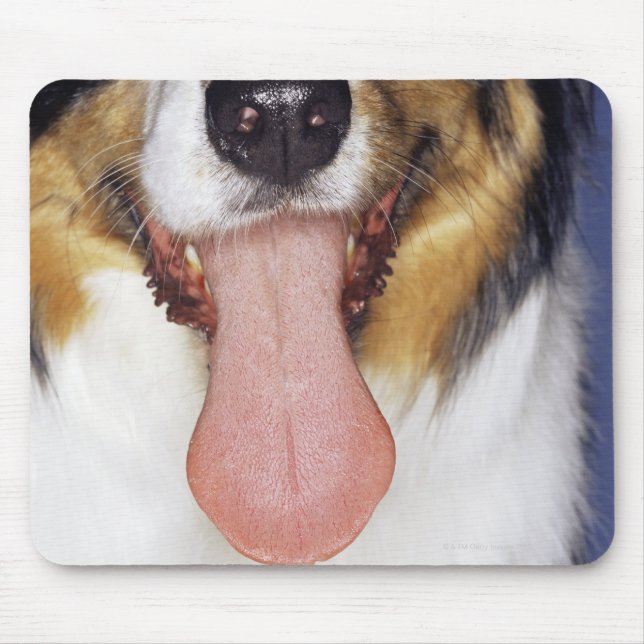 Collie wagging tongue mouse pad (Front)