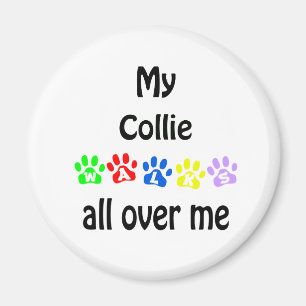 Collie Walks Design Magnet
