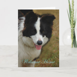 Collie Welcome home. Glad you are home again. Card