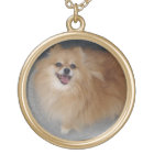 Collier de Pomeranian